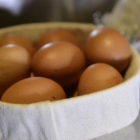 Western Armando 호텔