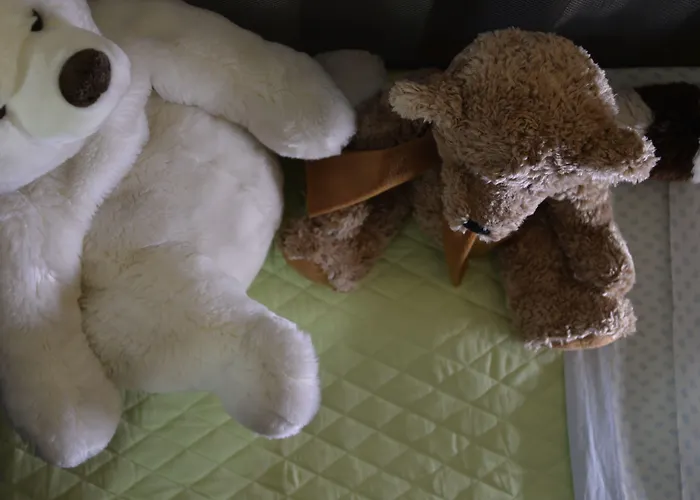 Western Armando 3* Verona