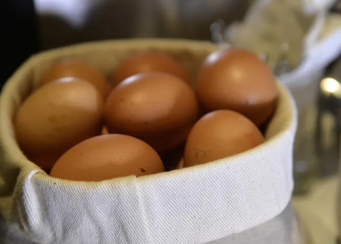 Western Armando Hotel