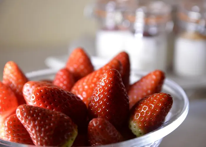 Western Armando Hotel 3*